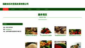 What Fjypo.cn website looks like in 2024 
