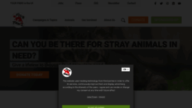 What Four-paws.org.uk website looks like in 2024 