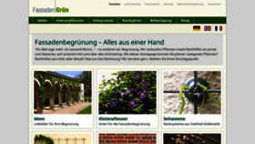 What Fassadengruen.de website looks like in 2024 