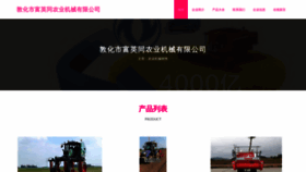 What Fuyingtong-china.com website looks like in 2024 