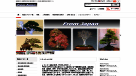 What Fromjapan-tk.com website looks like in 2024 