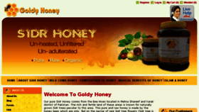 What Goldyhoney.com website looked like in 2013 (10 years ago)