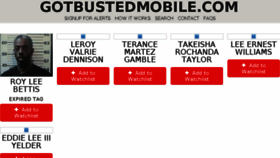 What Gotbustedmobile.com website looked like in 2015 (8 years ago)