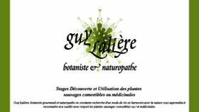 What Guylaliere.com website looked like in 2016 (8 years ago)