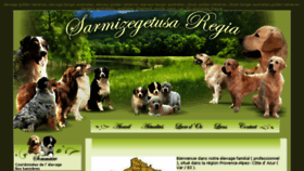 What Goldenretriever-aussie.com website looked like in 2016 (8 years ago)