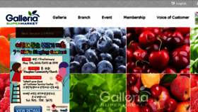 What Galleriasm.com website looked like in 2016 (8 years ago)