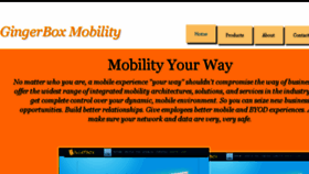 What Gingerboxmobility.com website looked like in 2016 (8 years ago)