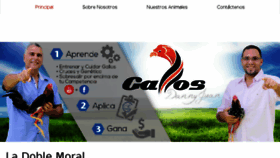 What Gallosdannyjuan.com website looked like in 2016 (7 years ago)