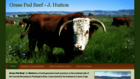 What Grassfed.us website looked like in 2016 (7 years ago)