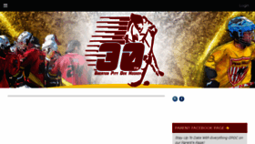 What Greaterpittdekhockey.com website looked like in 2016 (7 years ago)