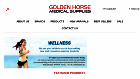 What Goldenhorsemedicalsupplies.com website looked like in 2017 (7 years ago)