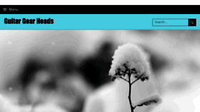 What Guitargearheads.com website looked like in 2017 (6 years ago)