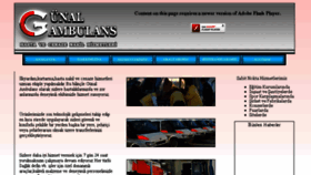 What Gunalambulans.com website looked like in 2017 (6 years ago)