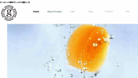 What Goushajapan.com website looked like in 2017 (6 years ago)