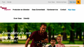 What Geas.nl website looked like in 2017 (6 years ago)