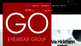 What Goeyeweargroup.com website looked like in 2017 (6 years ago)