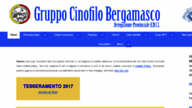What Gruppocinofilobergamasco.it website looked like in 2017 (6 years ago)
