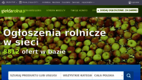 What Gieldarolna.pl website looked like in 2017 (6 years ago)