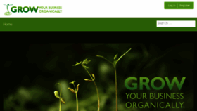 What Growyourbusinessorganically.com website looked like in 2017 (6 years ago)