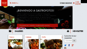 What Gastrofotos.com website looked like in 2017 (6 years ago)