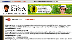 What Goarick.com website looked like in 2017 (6 years ago)