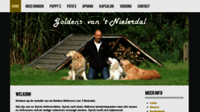 What Goldens.be website looked like in 2017 (6 years ago)
