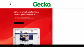 What Geckohost.nz website looked like in 2017 (6 years ago)