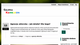 What Galeriakameleon.pl website looked like in 2017 (6 years ago)