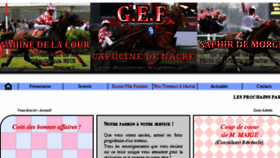 What Gef-site.fr website looked like in 2017 (6 years ago)