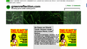 What Greenreflection.com website looked like in 2017 (6 years ago)