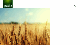 What Gullon.es website looked like in 2018 (7 years ago)