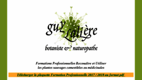 What Guylaliere.com website looked like in 2018 (6 years ago)