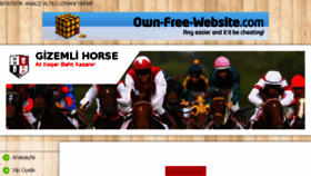 What Gizemlihorse.tr.gg website looked like in 2018 (6 years ago)