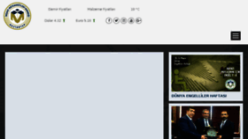 What Gaimder.org website looked like in 2018 (7 years ago)