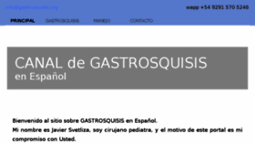 What Gastrosquisis.org website looked like in 2018 (5 years ago)