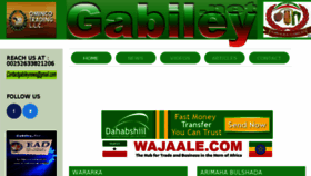 What Gabiley.net website looked like in 2018 (5 years ago)