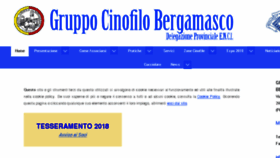 What Gruppocinofilobergamasco.it website looked like in 2018 (5 years ago)