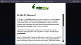What Gieldarolna.pl website looked like in 2018 (5 years ago)