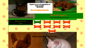 What Getmorepets.com website looked like in 2018 (5 years ago)