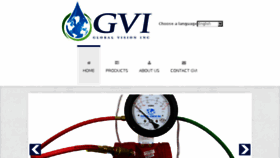 What Gviflow.com website looked like in 2018 (5 years ago)