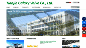 What Galaxyvalves.com website looked like in 2018 (5 years ago)