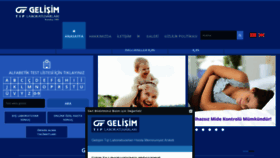 What Gelisimlab.com.tr website looked like in 2018 (5 years ago)
