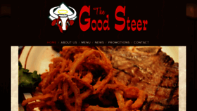 What Goodsteer.com website looked like in 2019 (5 years ago)