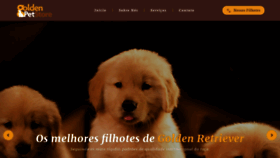 What Goldenpetstore.com.br website looked like in 2019 (5 years ago)