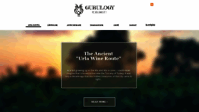 What Gurulogy.com website looked like in 2019 (5 years ago)