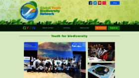 What Gybn.org website looked like in 2019 (5 years ago)