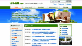 What Ganchiryo.com website looked like in 2019 (5 years ago)