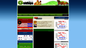 What Goldhips.com website looked like in 2019 (5 years ago)