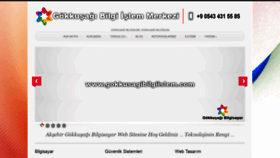 What Gokkusagibilgiislem.com website looked like in 2019 (5 years ago)