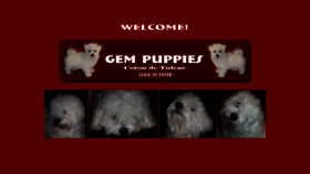What Gempuppies.com website looked like in 2019 (5 years ago)